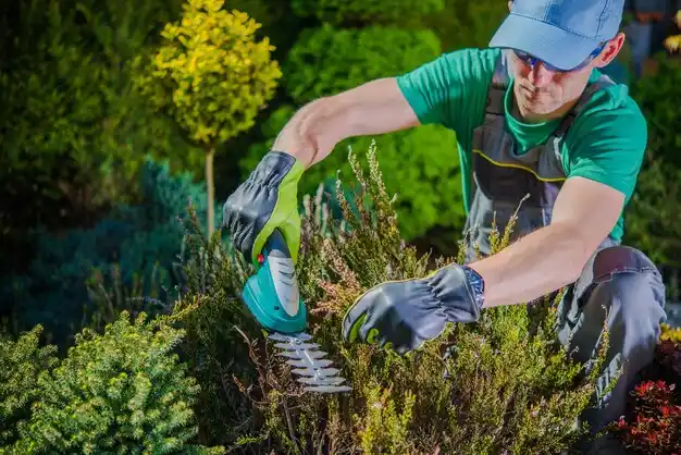 landscaping services Ottawa